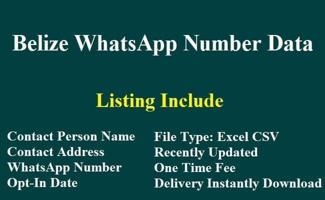 Belize WhatsApp Number Data