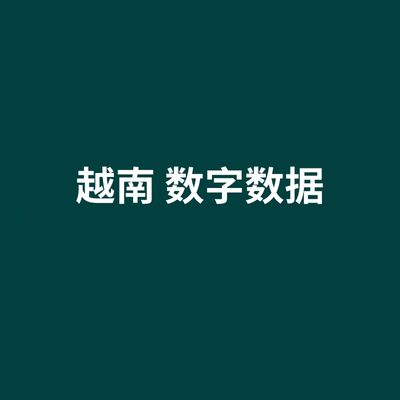 越南 数字数据