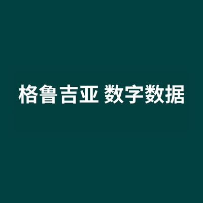 格鲁吉亚 数字数据