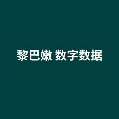 黎巴嫩 数字数据