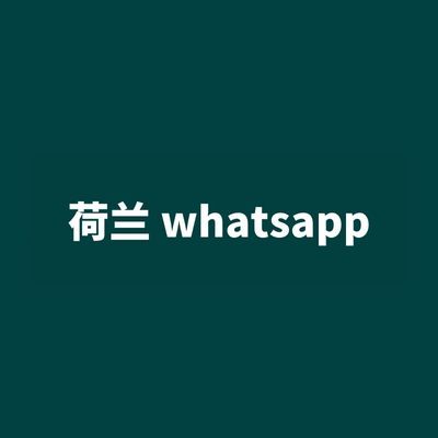 荷兰 whatsapp