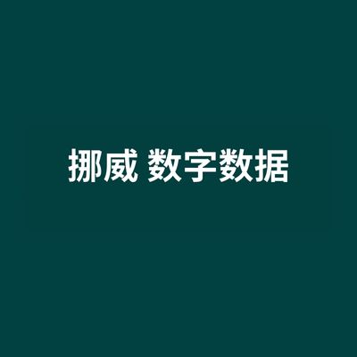 挪威 数字数据